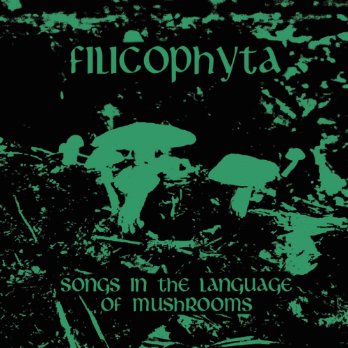 Filicophyta : Songs in the Language of Mushrooms